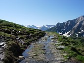 Da S. Simone-Baita del Camoscio salita al Passo di Tartano e a Cima Lemma il 30 maggio 2009 - FOTOGALLERY